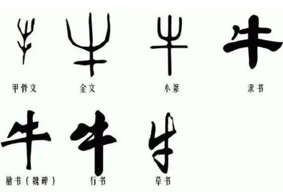The Art of Endless Strokes: A Journey Through Chinese Calligraphy ...